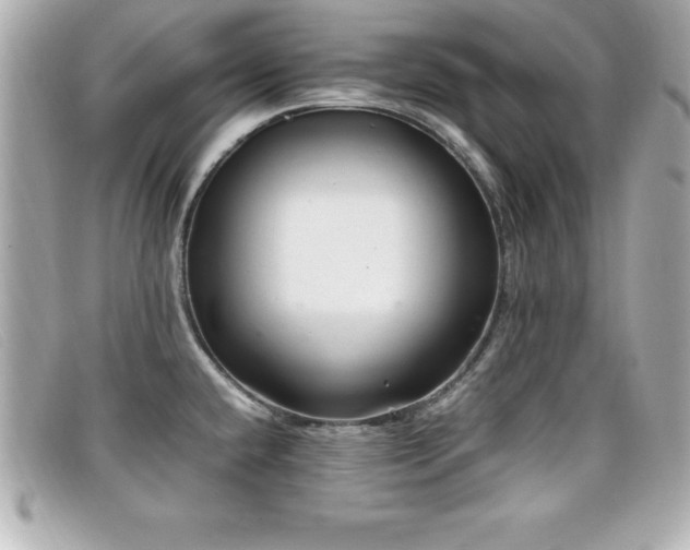 X0000099471432200805091538