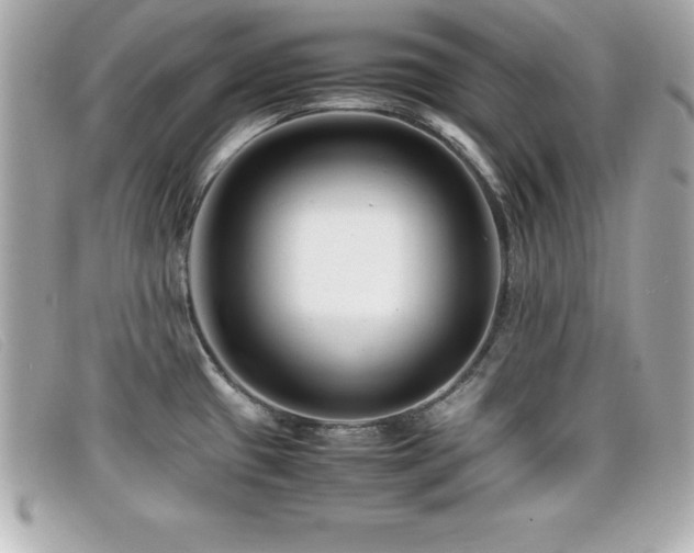 X0000099471433200805091538