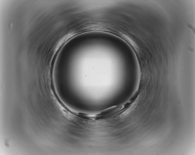 X0000099471434200805091538