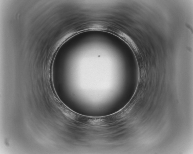 X0000099471435200805091538