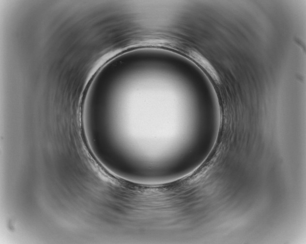 X0000099471436200805091538