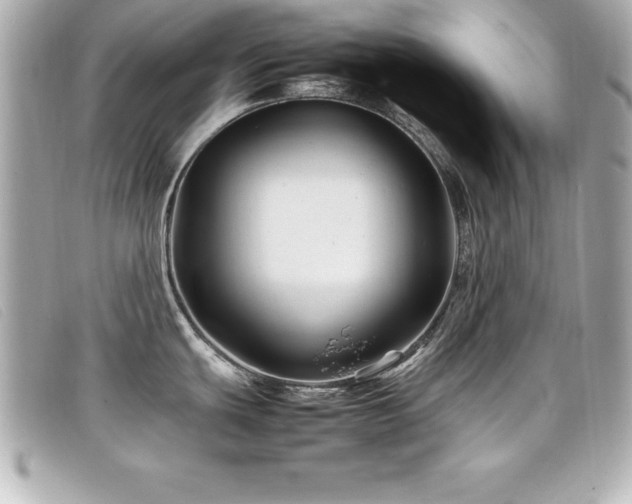 X0000099471439200805091538