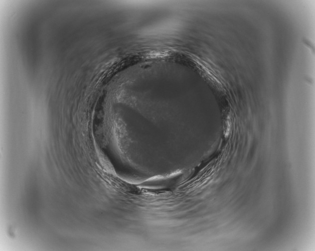 X0000099471441200805091537