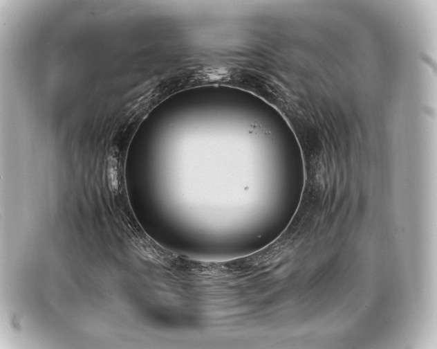 X0000099471442200805091537