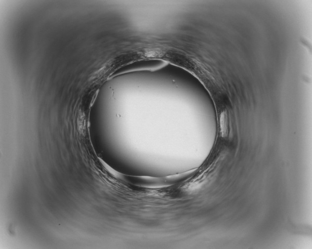 X0000099471443200805091537