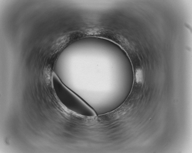 X0000099471444200805091537