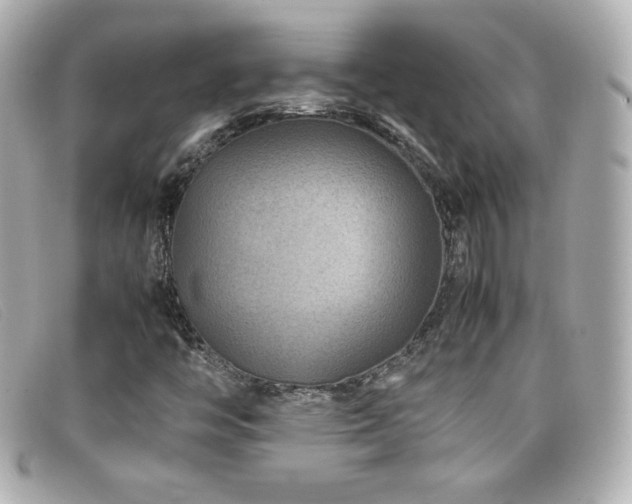 X0000099471446200805091537