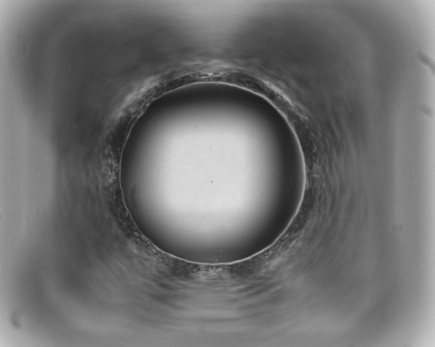 X0000099471447200805091537