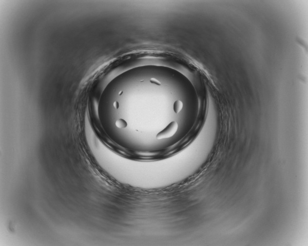 X0000099471448200805091537