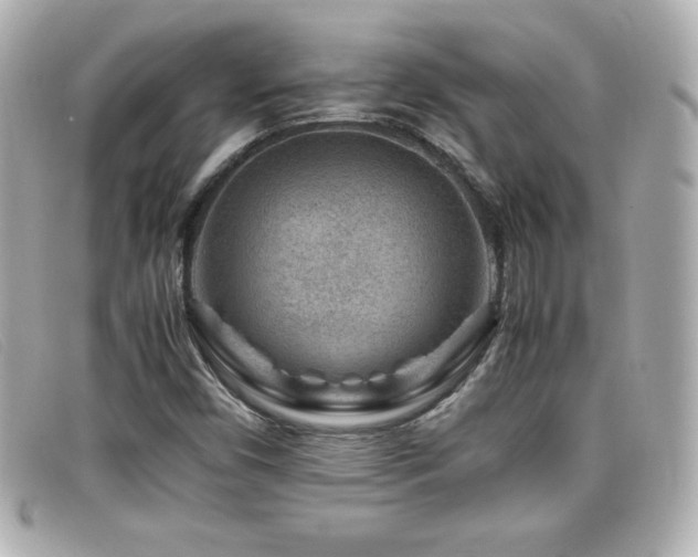 X0000099471450200805091537
