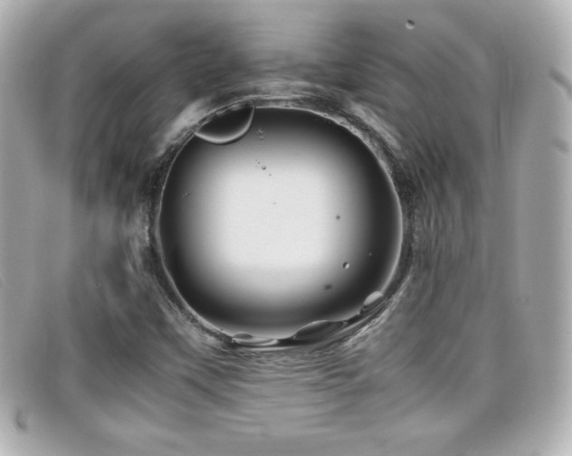X0000099471451200805091537