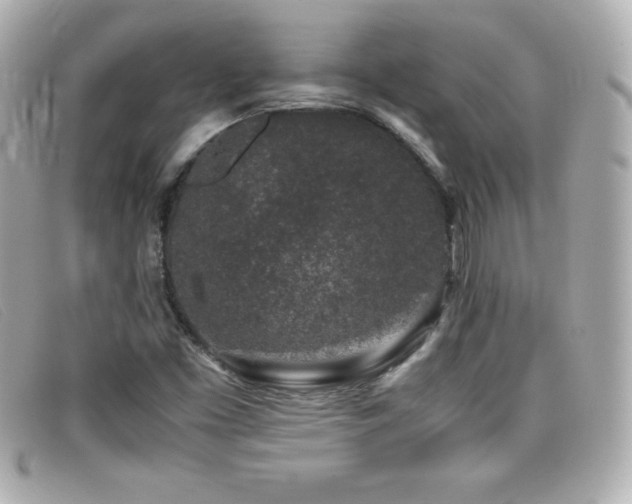 X0000099471453200805091537