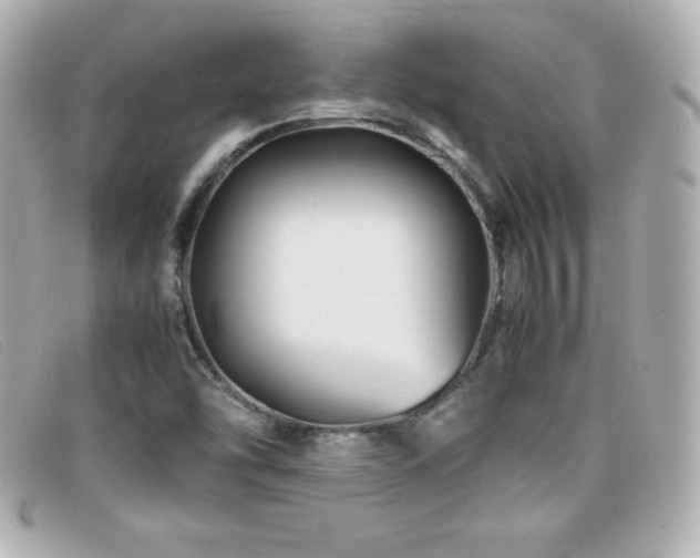 X0000099471454200805091537