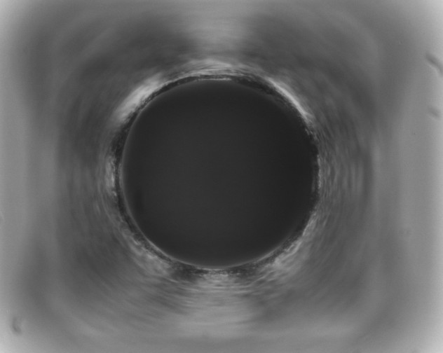 X0000099471455200805091537