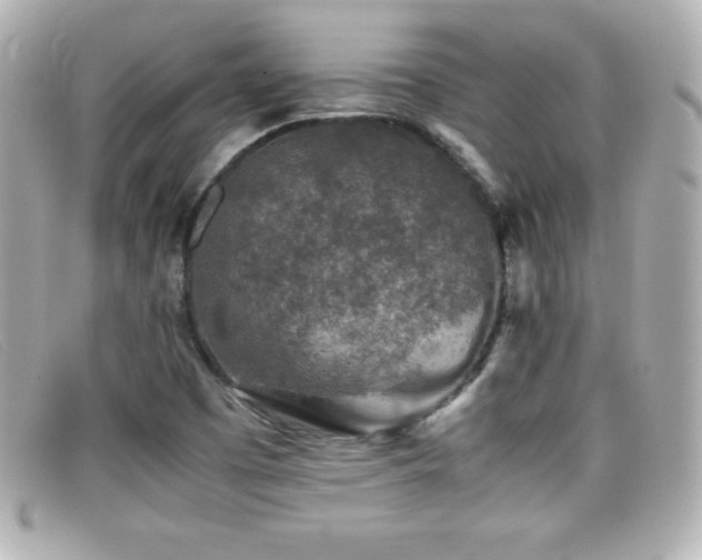 X0000099471457200805091537