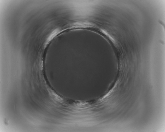 X0000099471459200805091537