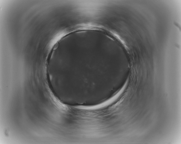 X0000099471463200805091537