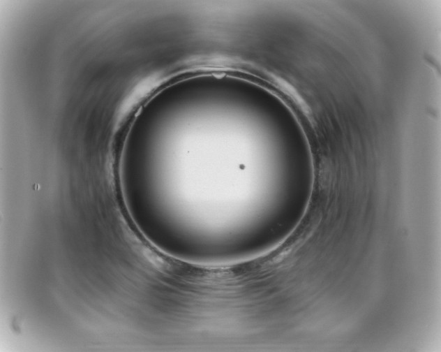 X0000099471464200805091537