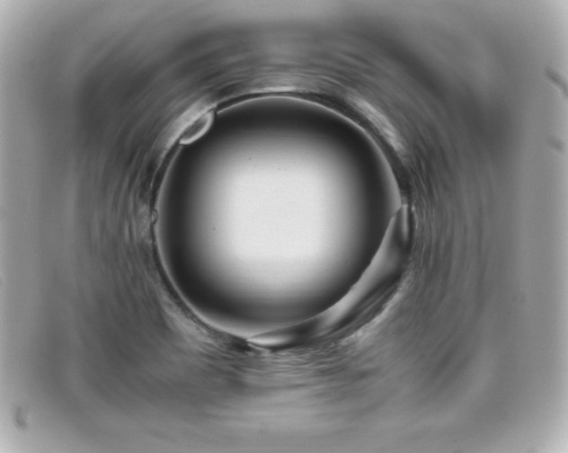 X0000099471465200805091537