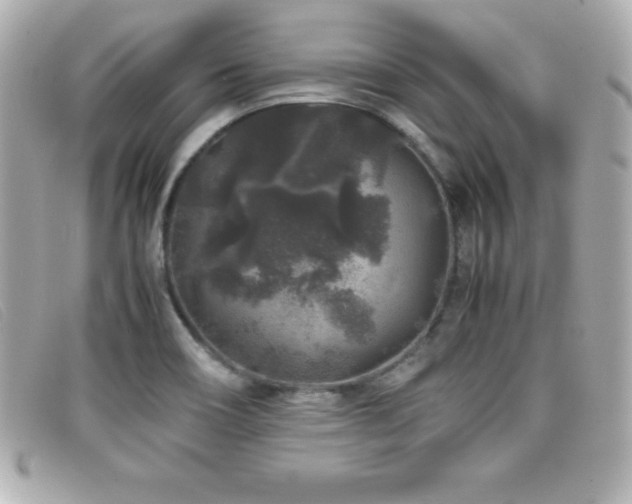 X0000099471466200805091537