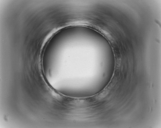 X0000099471470200805091537