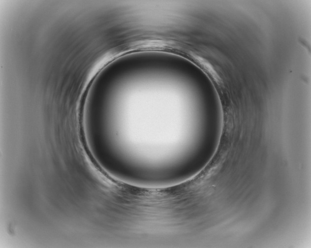 X0000099471475200805091537