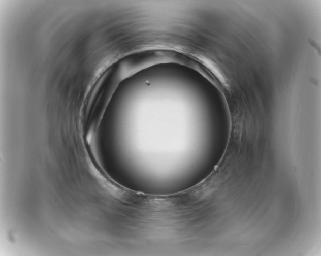 X0000099471476200805091537