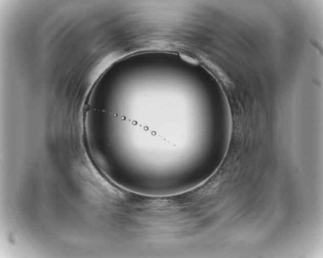 X0000099471479200805091537