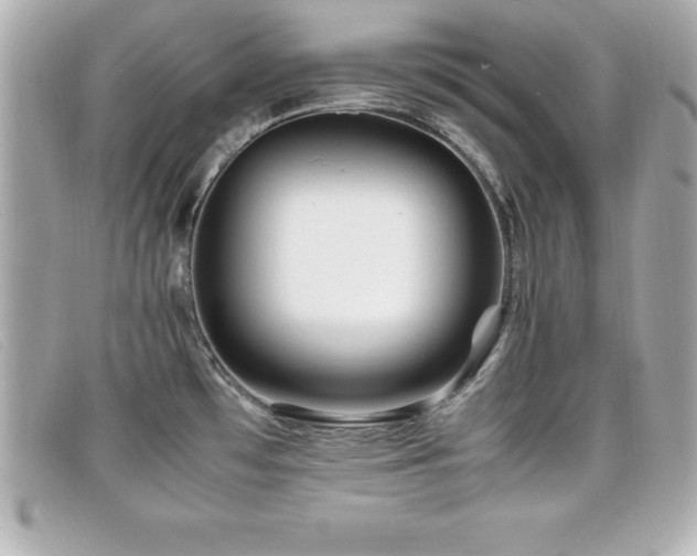 X0000099471481200805091537