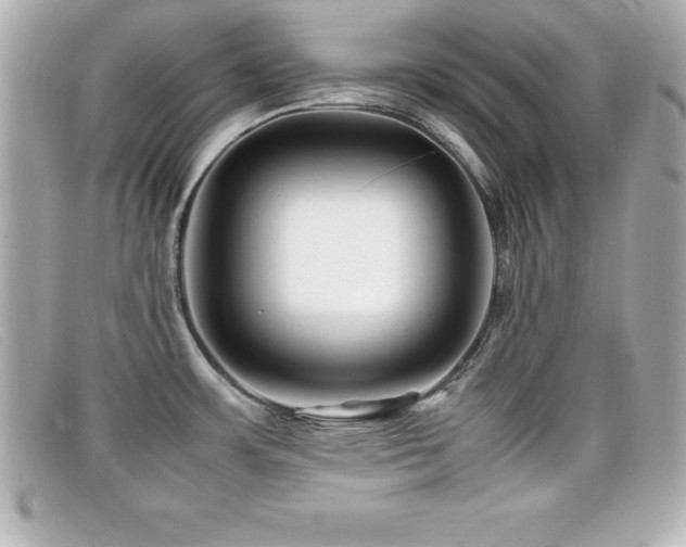 X0000099471483200805091537