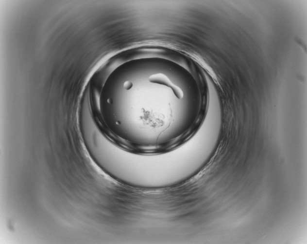 X0000099471484200805091536