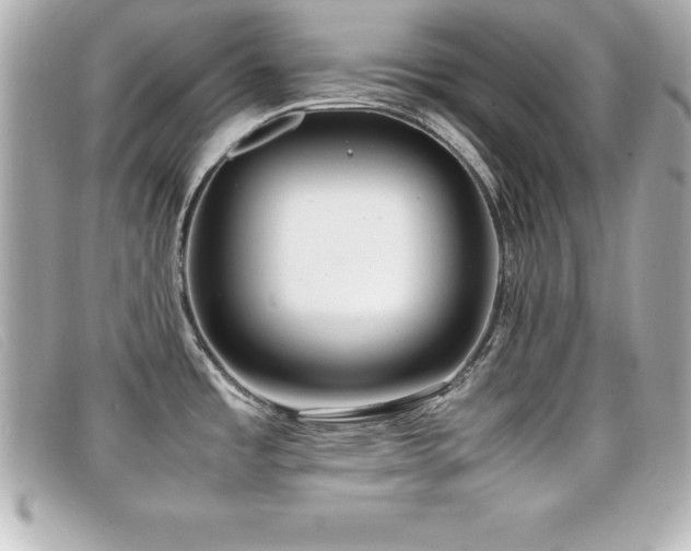 X0000099471485200805091536