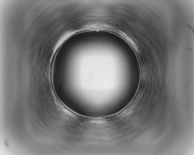 X0000099471486200805091536
