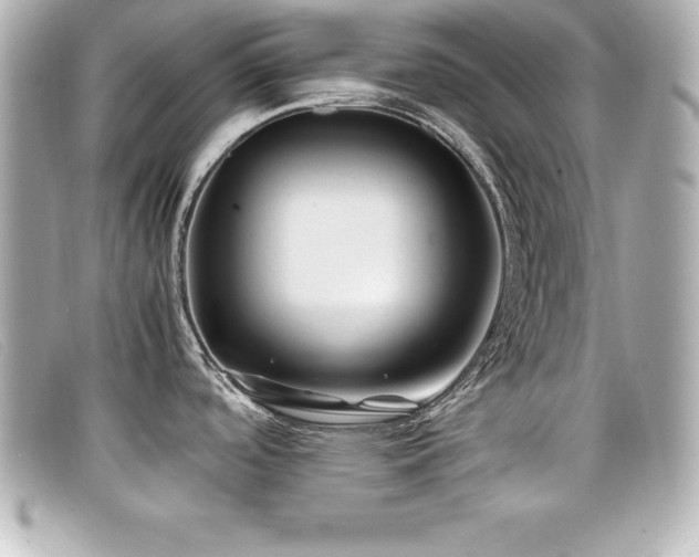 X0000099471488200805091536