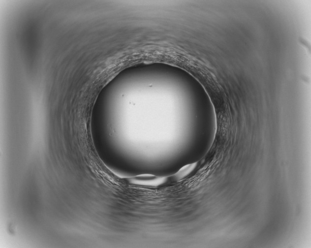 X0000099471489200805091536