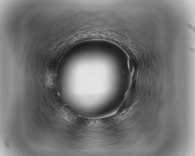 X0000099471490200805091536