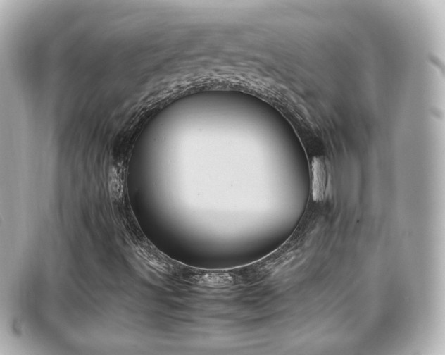 X0000099471491200805091536