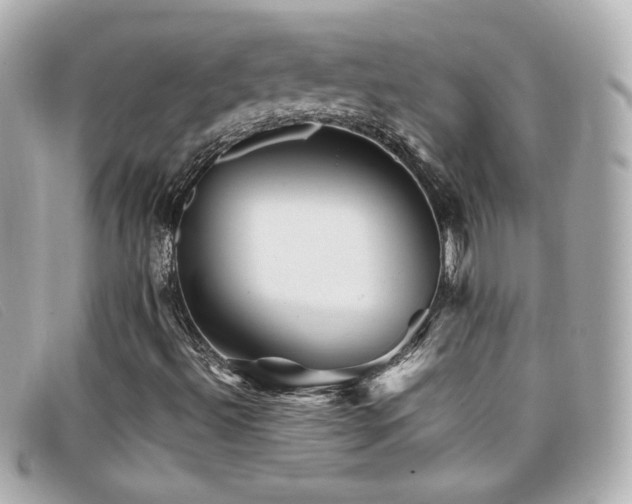 X0000099471492200805091536
