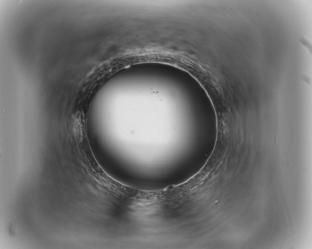 X0000099471493200805091536