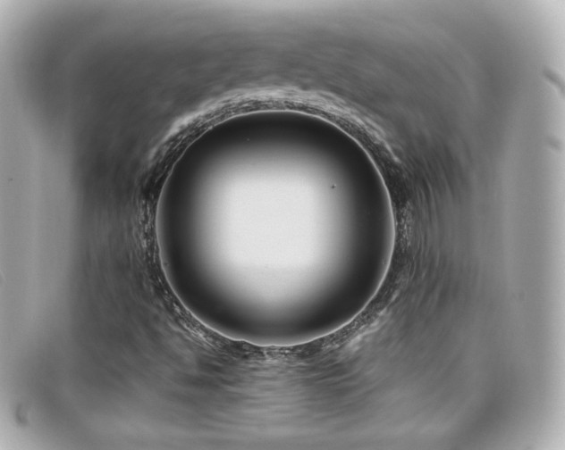 X0000099471494200805091536