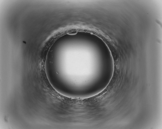 X0000099471495200805091536