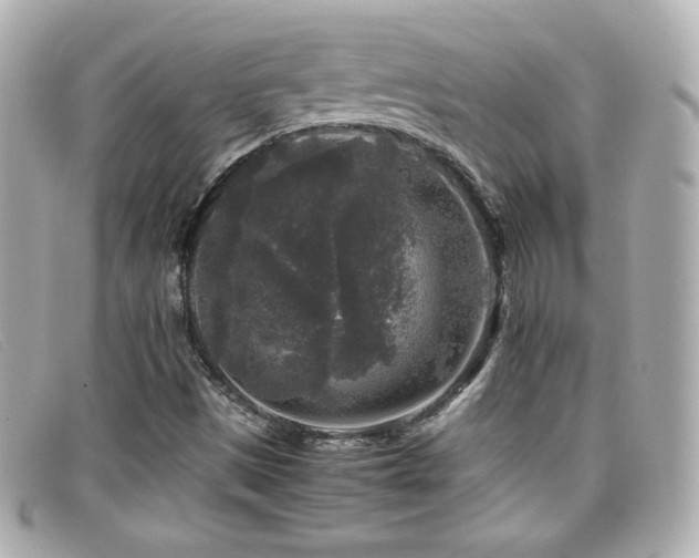 X0000099471497200805091536