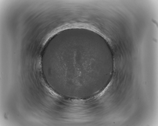 X0000099471498200805091536