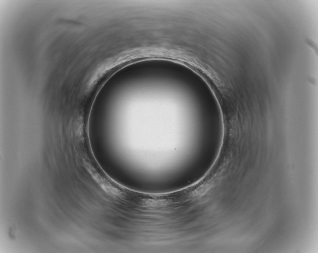 X0000099471499200805091536
