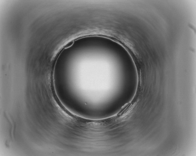 X0000099471500200805091536