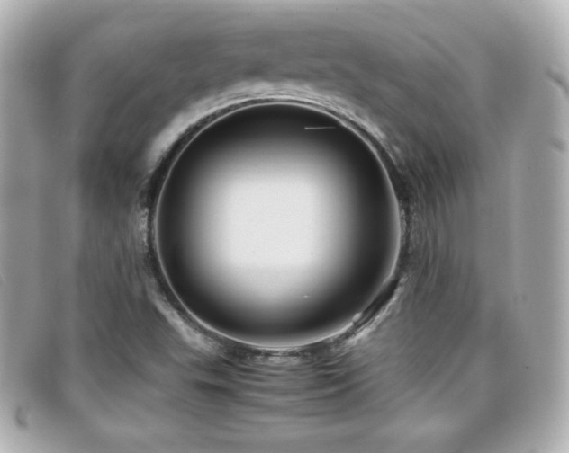 X0000099471503200805091536