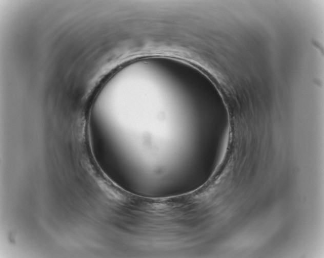 X0000099471507200805091536
