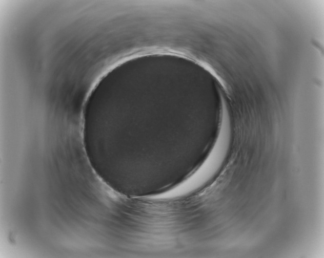 X0000099471508200805091536