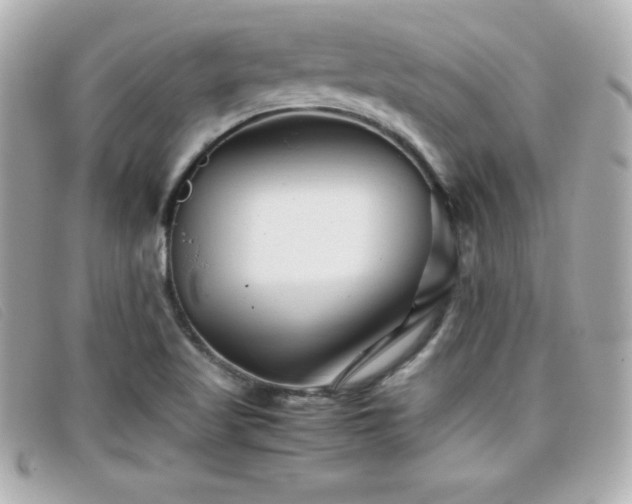X0000099471509200805091536