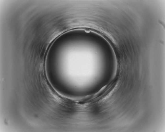 X0000099471513200805091536